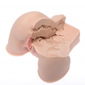 Мастурбатор-полуторс Naked Factory Kate - Naked Factory - в Саратове купить с доставкой