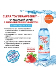 Очищающий спрей для игрушек CLEAR TOY Strawberry - 100 мл. - Биоритм - купить с доставкой в Саратове