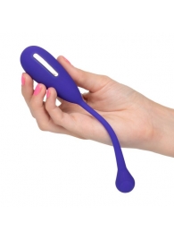 Фиолетовый шарик с электростимуляцией и вибрацией Intimate E-Stimulator Remote Kegel Exerciser - California Exotic Novelties - купить с доставкой в Саратове