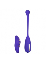 Фиолетовый шарик с электростимуляцией и вибрацией Intimate E-Stimulator Remote Kegel Exerciser - California Exotic Novelties - купить с доставкой в Саратове