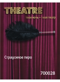 Чёрное страусовое пёрышко - ToyFa - купить с доставкой в Саратове