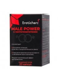 Капсулы для мужчин Erotichard male power с пантогематогеном - 20 капсул (0,370 гр.) - Erotic Hard - купить с доставкой в Саратове