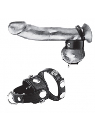 Утяжка для мошонки и пениса Cock Ring With 1  Ball Stretcher And Optional Weight Ring - BlueLine - купить с доставкой в Саратове