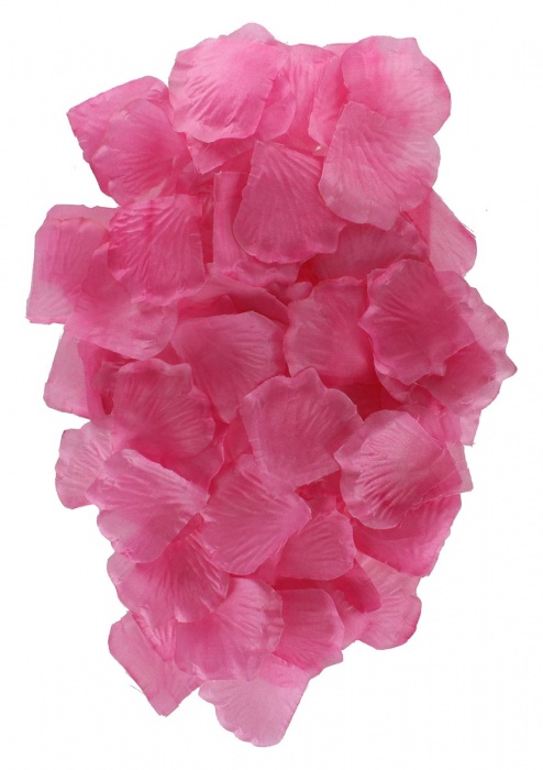 Эротический набор FANTASTIC PURPLE SEX TOY KIT - Toy Joy - купить с доставкой в Саратове