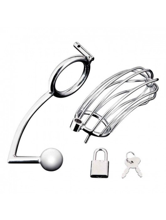 Серебристая металлическая клетка с анальным стимулятором Cock Cage - BlueLine - купить с доставкой в Саратове