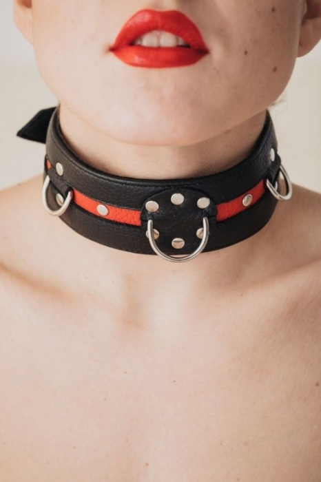 Черно-красный ошейник на пряжке - БДСМ Арсенал - купить с доставкой в Саратове