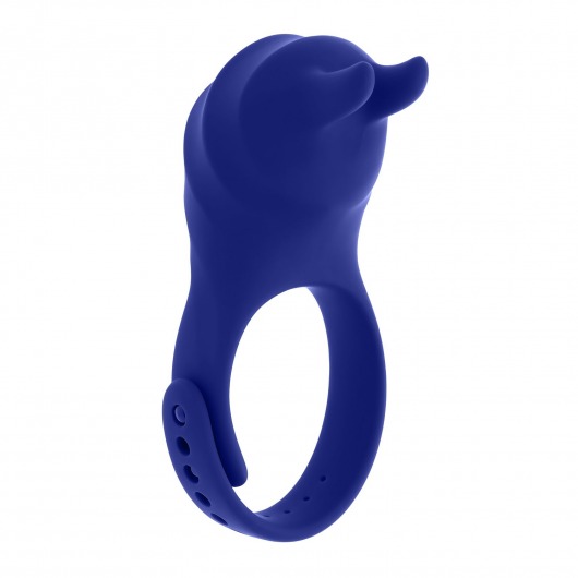 Синее эрекционное виброкольцо с клиторальной подушечкой и пультом ДУ Adjustable Fun Ring - Zero Tolerance - в Саратове купить с доставкой