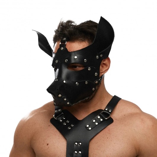 Черная кожаная маска «Собака» - Crazy Handmade - купить с доставкой в Саратове Черная кожаная маска «Собака» - Crazy Handmade - купить с доставкой в Саратове