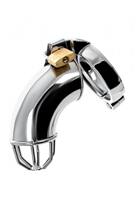 Серебристый мужской пояс верности TOYFA Metal - ToyFa - купить с доставкой в Саратове