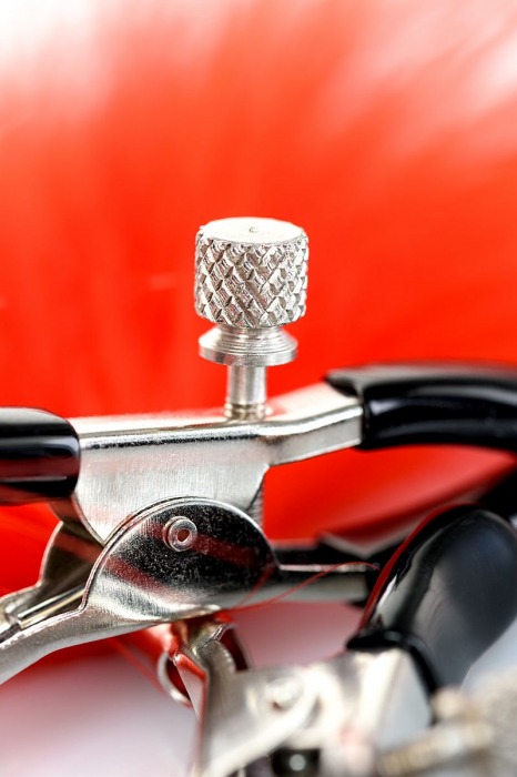 Зажимы для сосков с красным пухом Theatre - ToyFa - купить с доставкой в Саратове