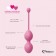 Набор из 3 розовых вагинальных шариков FemmeFit Advanced Pelvic Muscle Training Set - FeelzToys в Саратове Набор из 3 розовых вагинальных шариков FemmeFit Advanced Pelvic Muscle Training Set - FeelzToys